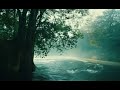 Free clips, footages. Forest, trees, nature. Created by AI