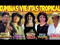 MIX DE CUMBIAS TROPICALES ✨ Chico Che y Rigo Tovar, Tommy Ramirez, Acapulco Tropical, Fito Olivares✨