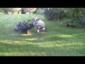 CUTTING GRASS WITH 90 YEAR OLD MOWER