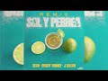 Sech, Daddy Yankee, J Balvin - Sal y Perrea Remix (Audio Oficial)