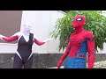 Super-story (150-Minute Spiderman compilation)