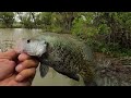 Crappie Fishing in many places (2024)