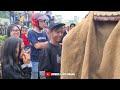 KESURUPAN KUDA LUMPING! MANG DANDI MAU KAUL - BARONG NGAMUK - Demon NAYAGA Cuta Muda Grup Padalarang