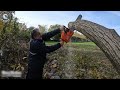 101 AMAZING Fastest Big Wood Chainsaw Machine Working At Another Level ▶10