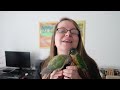 HOW TO BOND TWO BIRDS TOGETHER 🦜 Tips and Tricks! | BirdNerdSophie