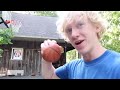 I Learned To Dunk In 7 Days! - Day 4