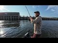 Turning 1 POUND of GOLDFISH into 100 POUNDS of CATFISH! -- (RAGING SPILLWAY)