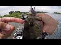 The LAST Frog Fishing Video You Will Ever Need! (Frog Fishing Tips)
