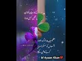 NEW AQWAL E ZAREEN IN URDU 🌺😍🌹💯/MIX URDU QUOTES /ISLAMIC QUOTES OF BEAUTIFUL LIFE /GEHRI BAATAIN