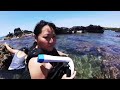 Waialea Bay (Beach 69) - exploring and snorkeling - Big Island Hawaii