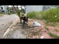 Clean up sidewalks full of grass that encroaches on pedestrian corridors - Revitalized sidewalks