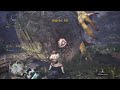 Great Jagras cheating