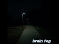 Fry - brain fog