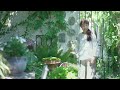 GARDENS 夏におすすめの花とグラス１４選 | 蚊取り線香をおしゃれに飾る |With subtitles | 【ガーデンズ】