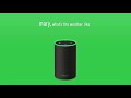 INTRODUCING... Amazon Echo | Irish Version