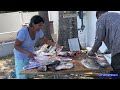 🇬🇾 Catfish Fillet | Mrs Farmer | Catch of the Day