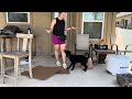 Rapid fire session with Kamila the GSD X puppy
