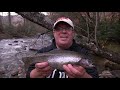 Trout Fishing Near Downtown Cherokee