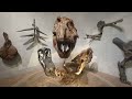 Julian Ceja Serrano's Prehistoric Wildlife🦕🦖🦤🦣