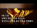 [꿈삐의책읽기] 내 마음의 이순신 * 김훈 /// 배경음악 * 강현지 해금연주