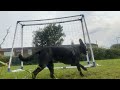 Goalkeeping against a 28 year old !! ( PT:3 )