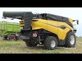 New Holland CR11 with 50ft. Wide MacDon FD250 Header harvesting Wheat & Canola | Harvest 2024