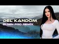 Elsen Pro & Kamila Rahimova - Del Kandom