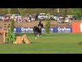 Farscape DSF USHJA International Hunter Derby