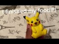 Pikachu finished his food!!!!!!