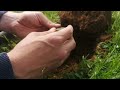 2000 Years Apart: Unearthing Coins Across Millennia! - Metal Detecting In Dorset, UK