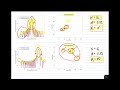 #190: Mutual Coupling Effects: Transmitting Uniform Linear Array