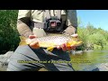 Searching for Brown Trout on the Wild and Scenic Mokelumne River