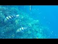 Egypt Underwater - Samsung Galaxy S8+ underwater test