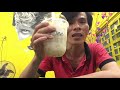 Trà MACCHIATO Thơm Ngon / Uống Là Ghiền