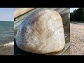 AWESOME Summer Day Rock Hunting The Shore Of Lake Michigan #rocks #beach #fossils #coral