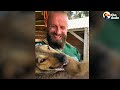 Guy Rescues Hundreds Of Dogs From City Shelters | The Dodo