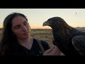 The Female Falconers Rewriting Tradition