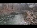 Dip beneath the frozen pond