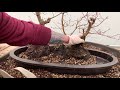 Making Penjing - Bonsai Landscape