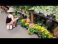 No People, Only Plants. Plant Shopping @HomeDepot in OC California