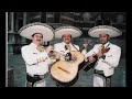 Everlong- Mariachi Style (Foo Fighters Cover)