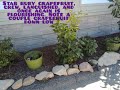 Garden Update Carpinteria, CA