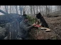 3 Days Bushcraft Winter Camping in Snow with My Dog, Building Warm Survival Shelter - Asmr Cooking