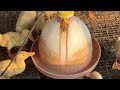 Raising 10,000 Ducks For Meat - Feeding Ducks - Duck Farm - Collecting Duck Eggs - Ducklings