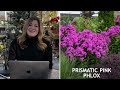 New Perennials for 2024! 😍🌿🌸 // Garden Answer