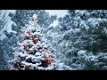 White Christmas (Sang Froid)