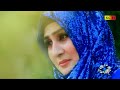 Most Beautiful Kallam || حسبی ربی جل اللہ مافی قلبی || Shumaila Kosar