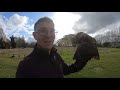 Meet Birds of Prey | Fens Falconry