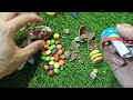 🌈 Unwrapping Ozmo|cutting milka ice cream chocolate and Rainbows candies #satisfying #sweet