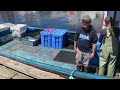 Lobster Fishing | Glace Bay, Nova Scotia